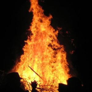 Meet your Posher, Todd